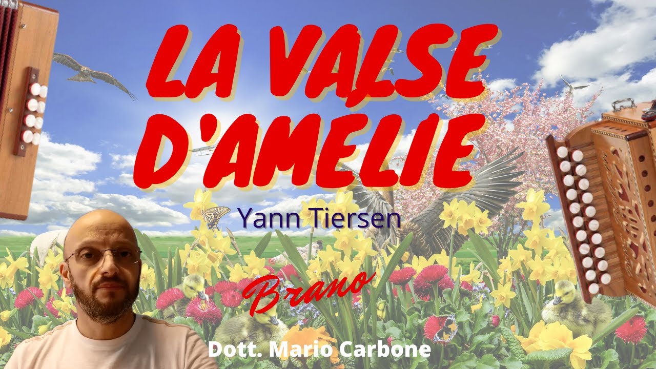 8 bassi  - LA VALSE D'AMÉLIE - Yann Tiersen  - Accordion diatonic - Amélie Amelie