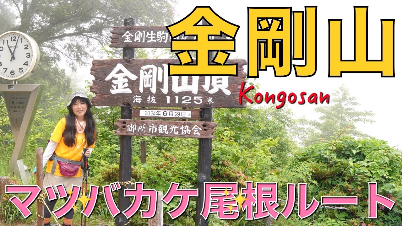 【大阪府/奈良県】金剛山✨奈良県側からマツバカケ尾根ルート、湧出岳経由で山頂広場へ😃