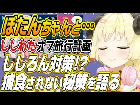 【ホロライブ切り抜き/角巻わため】ししわた旅行!!ししろんにお土産にされない秘策を語るわためぇ