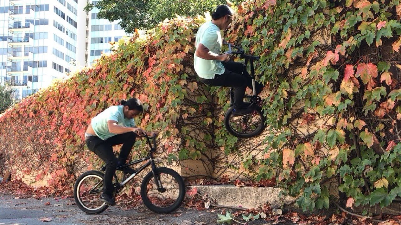 Learning BMX Bike Tricks (Fakie Wall Ride, Hurricane & Flatland)