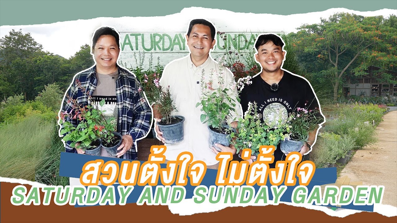 พามารู้จัก Saturday and Sunday Farm เขาใหญ่