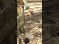 Bros got a built in deathclaw gauntlet #gaming #fallout3 #fallout #subscribe #fyp #gameplay #games