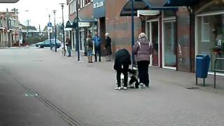 zondag 3 april 2011 020
