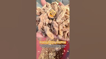 Precision Sorting of Anemarrhena Rhizome | Gravity Separator for Herbal Purity