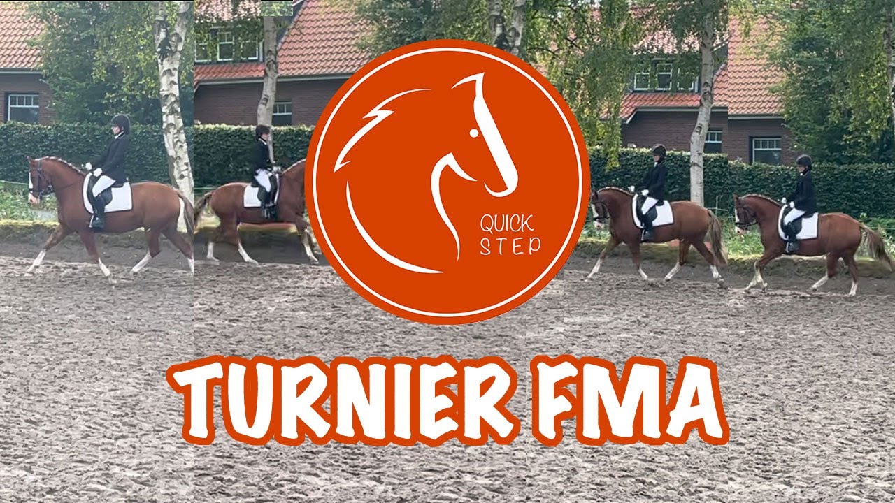 Aufgeben? Quicksteps 2. Turnier I A-Dressur A 5/2 I FMA