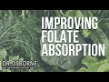 How to improve folate absorption and other folate questions answered