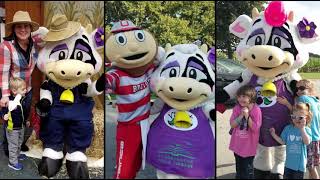 Pickerington Public Library Commercial