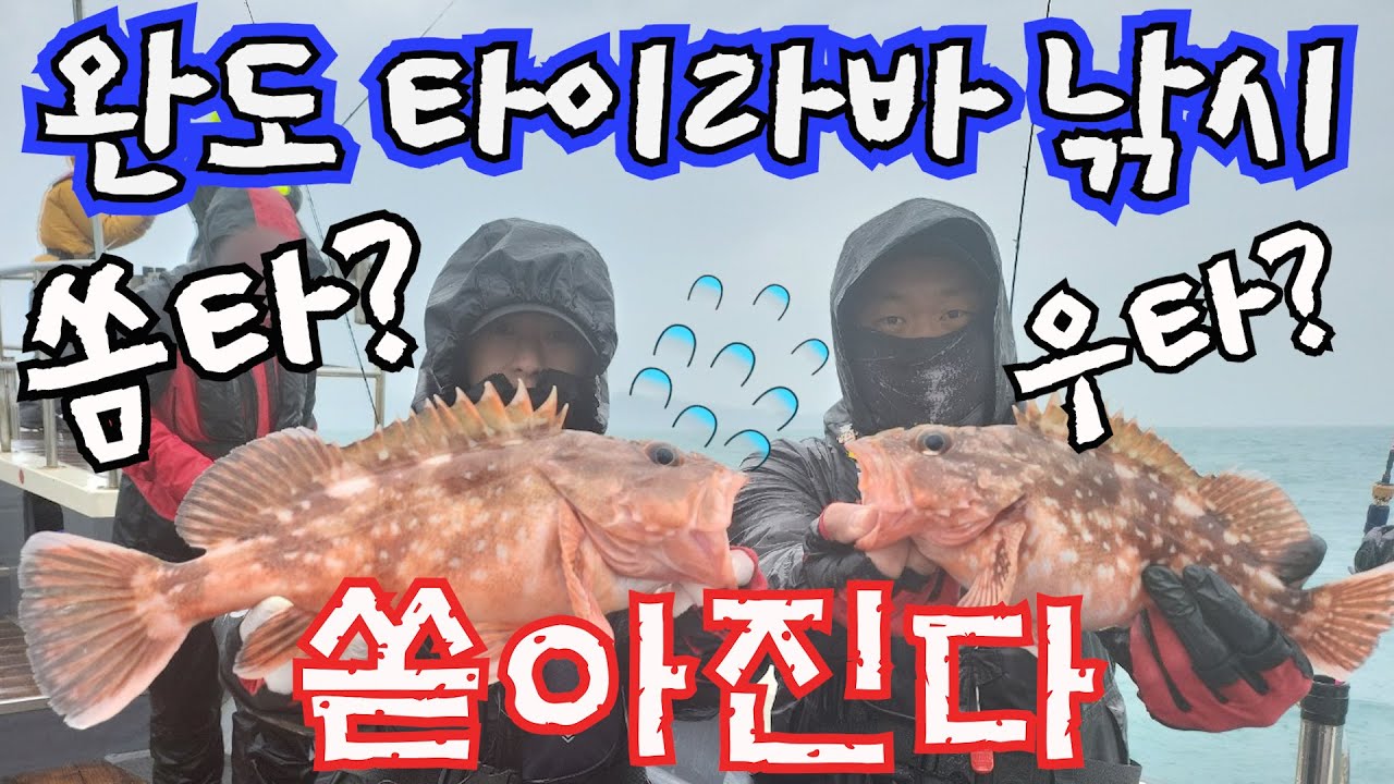 남해 완도 타이라바 다잡아낚시 참돔 6짜 우럭 광어 쏨뱅이 가자미 장대 다나와 - YouTube