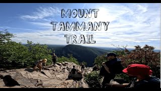 Mount Tammany: Red Dot and Blue Dot Loop Trail | New Jersey