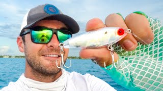 Fishing One of The BEST Inshore Saltwater Lures (MirrOlure MirrOdine)