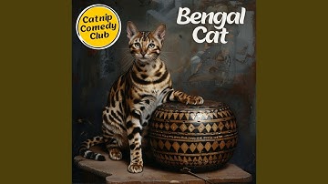 Bengal Cat