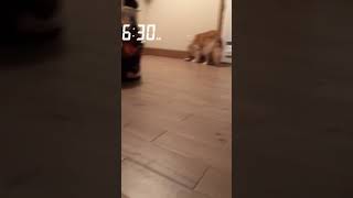 Daily snaps 2/7/19