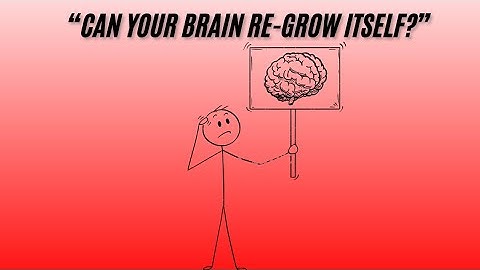 “Can Brain Cells Regenerate?