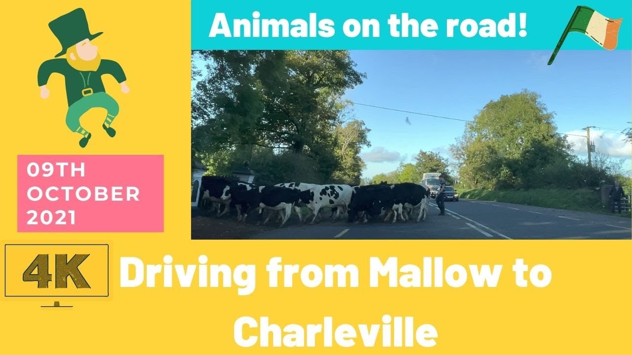 Driving from Mallow to Charleville | N20 | Ag tiomáint ó Mala go Ráth Luirc