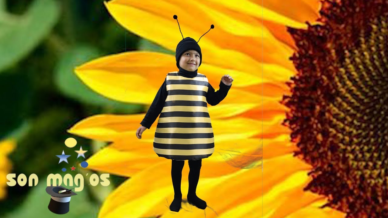10 ideas de Infantiles  disfraz de abeja, disfraces de primavera, trajes  de disfraces