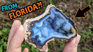 It Took MILLIONS Of Years For THIS To Happen... Revealing The Ancient Beauty in Florida Agate Geodes