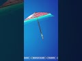 Fortnite Chapter 4 Season 4 Victory umbrella #chapter4 #fortnite