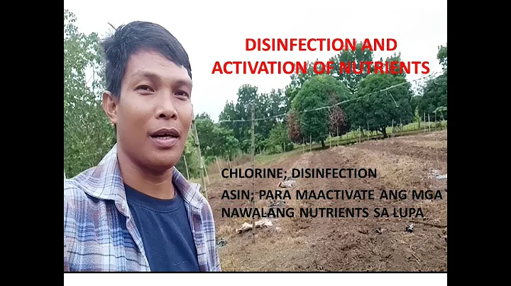 LAND PREPARATION: DISINFECTION AND ACTIVATION OF N...