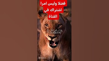 القرآن الكريم #اكسبلور #رمضانمبارك #لايك #تيك_توك #ترند #في #duet #دويتو #حالات_واتس #متابعه