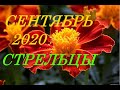 СТРЕЛЕЦ.  ТАРО-ПРОГНОЗ на СЕНТЯБРЬ 2020 г.