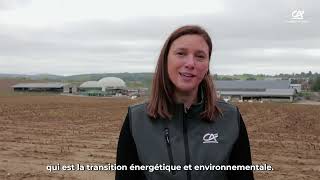 Paroles Dexperts - Elodie, Expertise Transition
