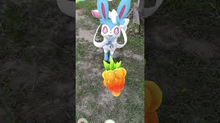 Dont Forget To Feed Your Sylveon