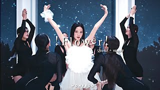 Jisoo - Flower Slowed Reverb ᴡᴏɴʏʙᴏᴏ