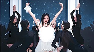 Jisoo - Flower🥀! » [ Slowed + Reverb ] // ᴡᴏɴʏʙᴏᴏ