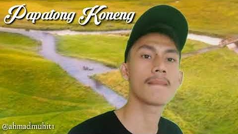 Papatong Koneng - Cover