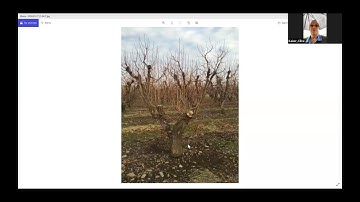 Dr. Clive Kaiser QSU KGB Orchard Renewal 2020