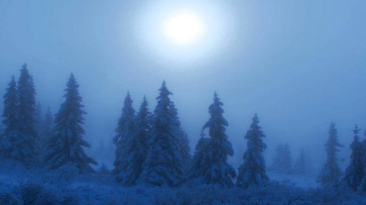 Melek Taus ~ A Dedication to the Northern Nature