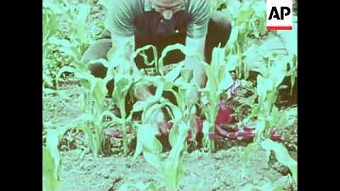 News Item (1d1611a4-d4d7-01a5-7374-cdc6d291d206)