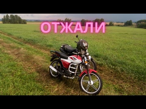 ДПС забрали Альфу на штрафстоянку и экспертизу | Впаяли 15 000 штрафа за отсутствие ВУ