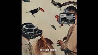 Stars - Sleepy Soul (Official Lyric Video)