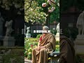 Julius Caesar: The Enigma of His Personal Pursuits