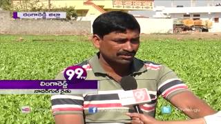 Rose & Laminium Cultivation - Eruvaka - 25-02-2015 - 99tv