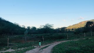 Vlog dia na roça | agricultura familiar | caprinos 