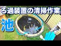 お金をかけずに錦鯉を飼育しています