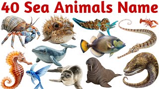 40 Sea Animals Name for Kids | Learn Ocean Animals in English with Pictures and Sounds for Children screenshot 2