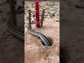 Easy snake trap using scissors buildsnaketrap