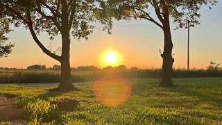 AnablepoDoe July 8, 2026 sunset live!