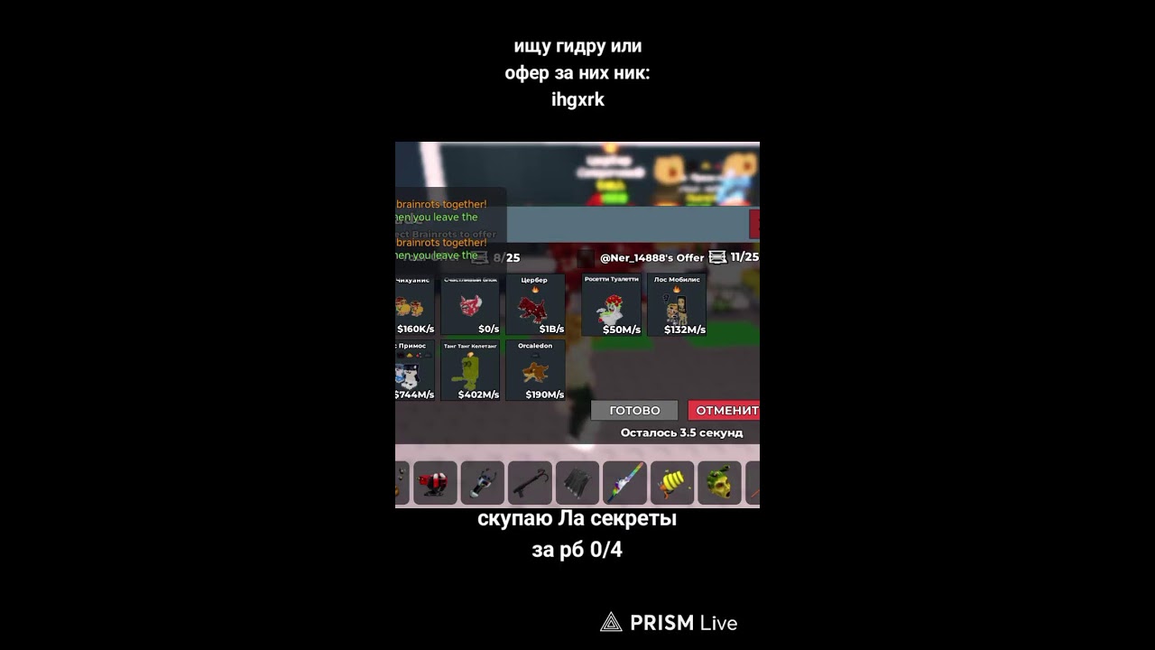 Прямая трансляция Aub