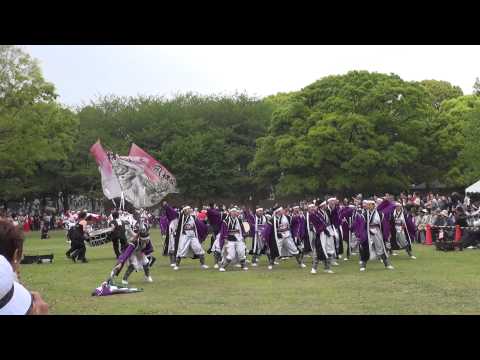 甲斐◇風林火山（あっぱれ富士2015）芝生流し会場