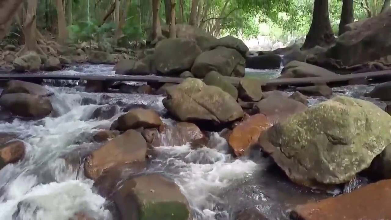 Jourama Falls (Paluma Range National Park)