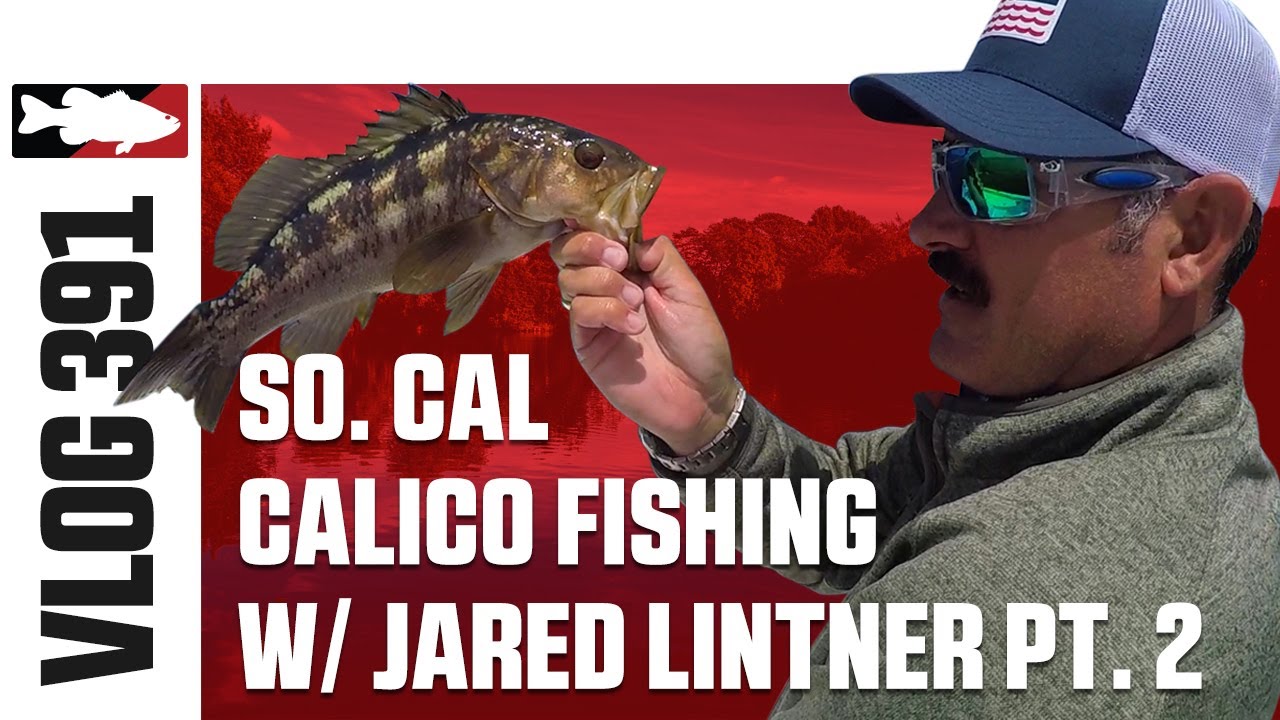 Jared Lintner Inshore Fishing in SoCal Pt. 2 TW VLOG 391 YouTube