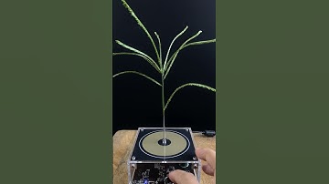 Music Tesla Coil Testing #experiment #testing #lightning #shorts