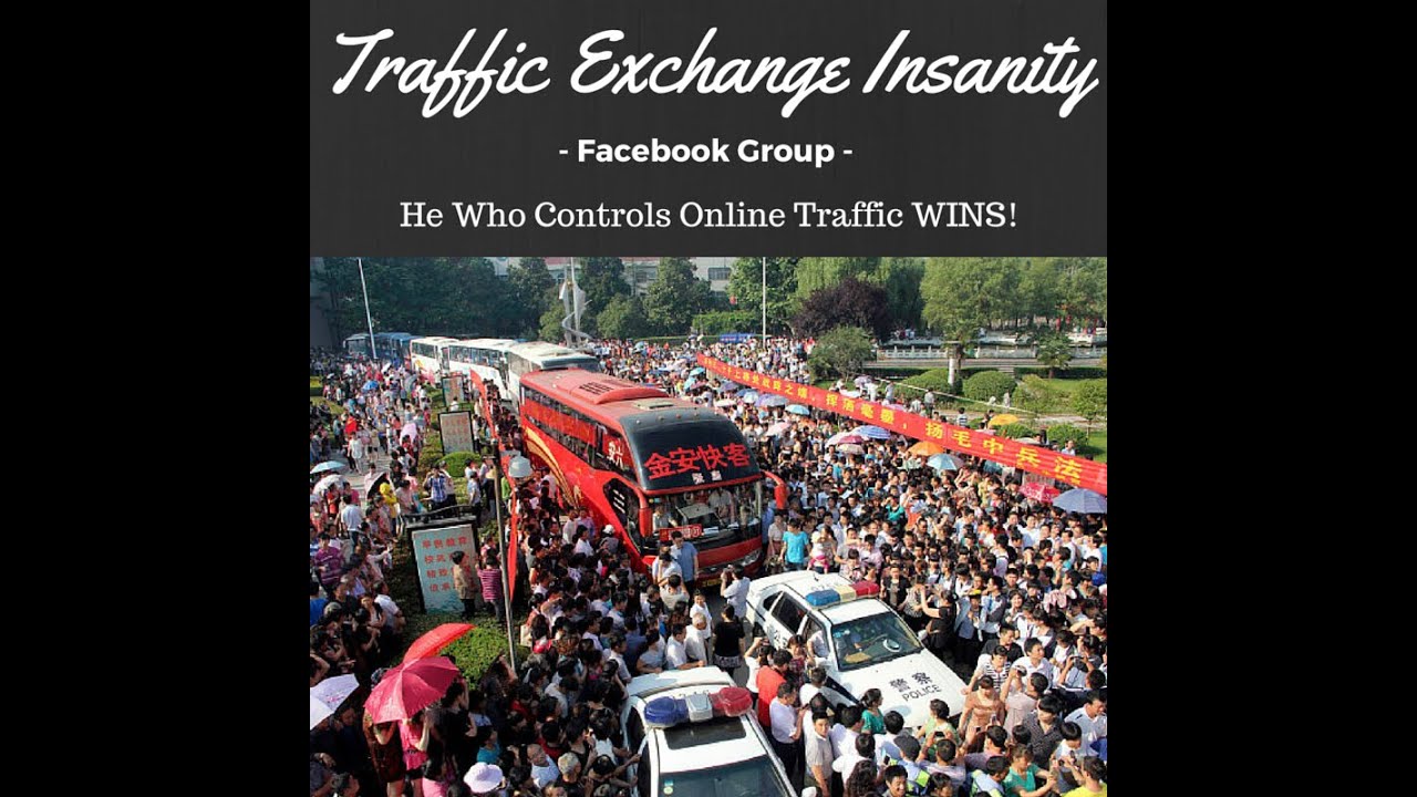 Welcome to Traffic Exchange Insanity's Facebook Group