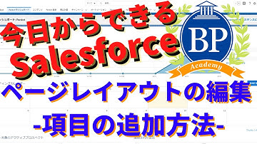 【今日からできるSalesforce】 ページレイアウトの編集 -項目の追加方法-