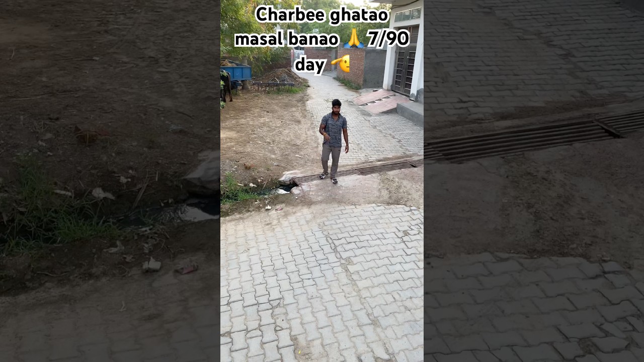 Charbee ghatao masal banao 🙏 7/90 day 🫡 