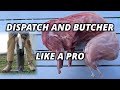 How to raise and butcher meat rabbits complete guide